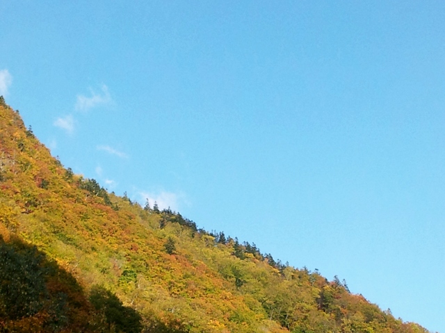魅惑的な１台