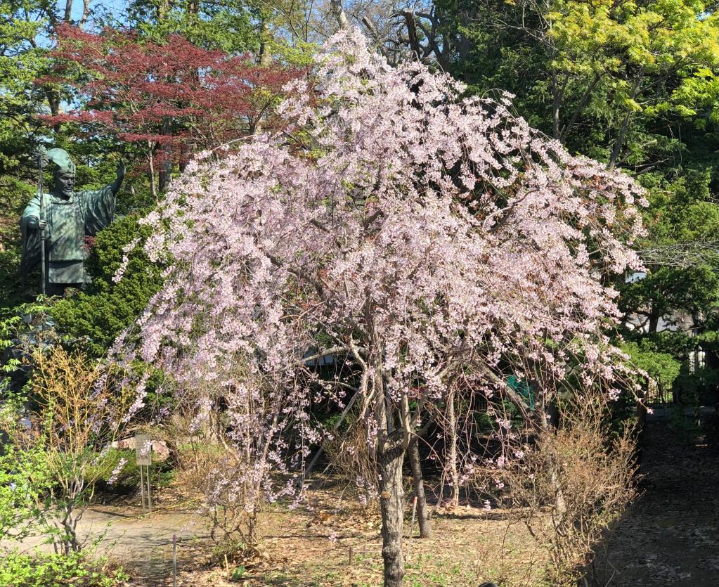 一足早いですが・・・