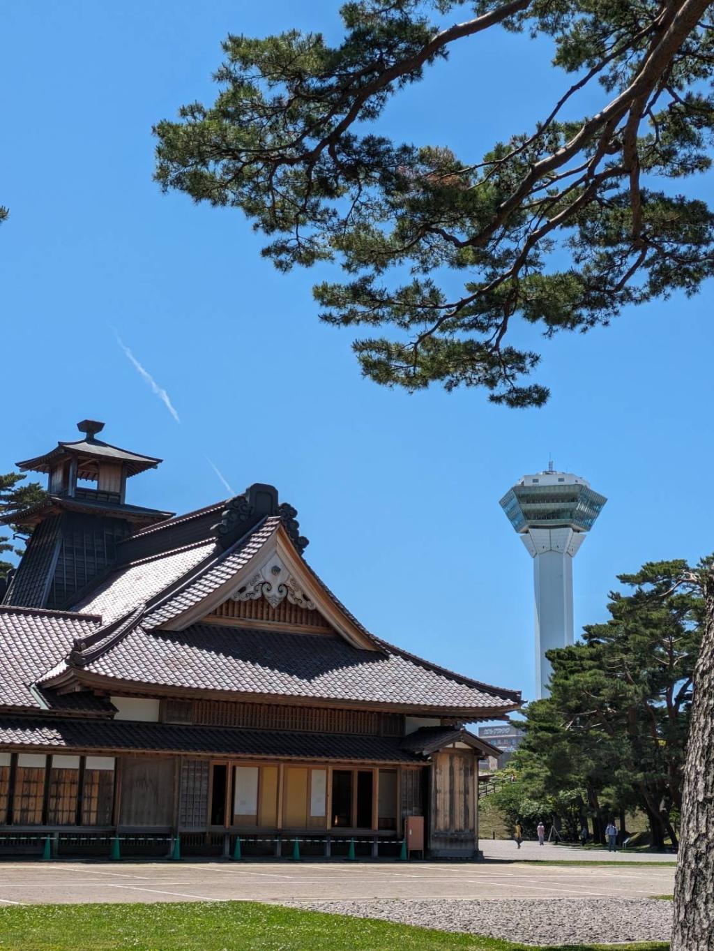 豆知識休み場