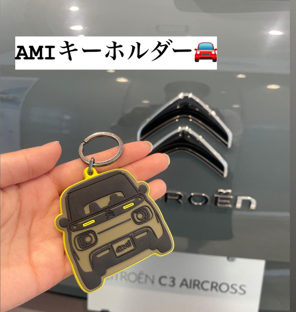 AMIのフランス語！