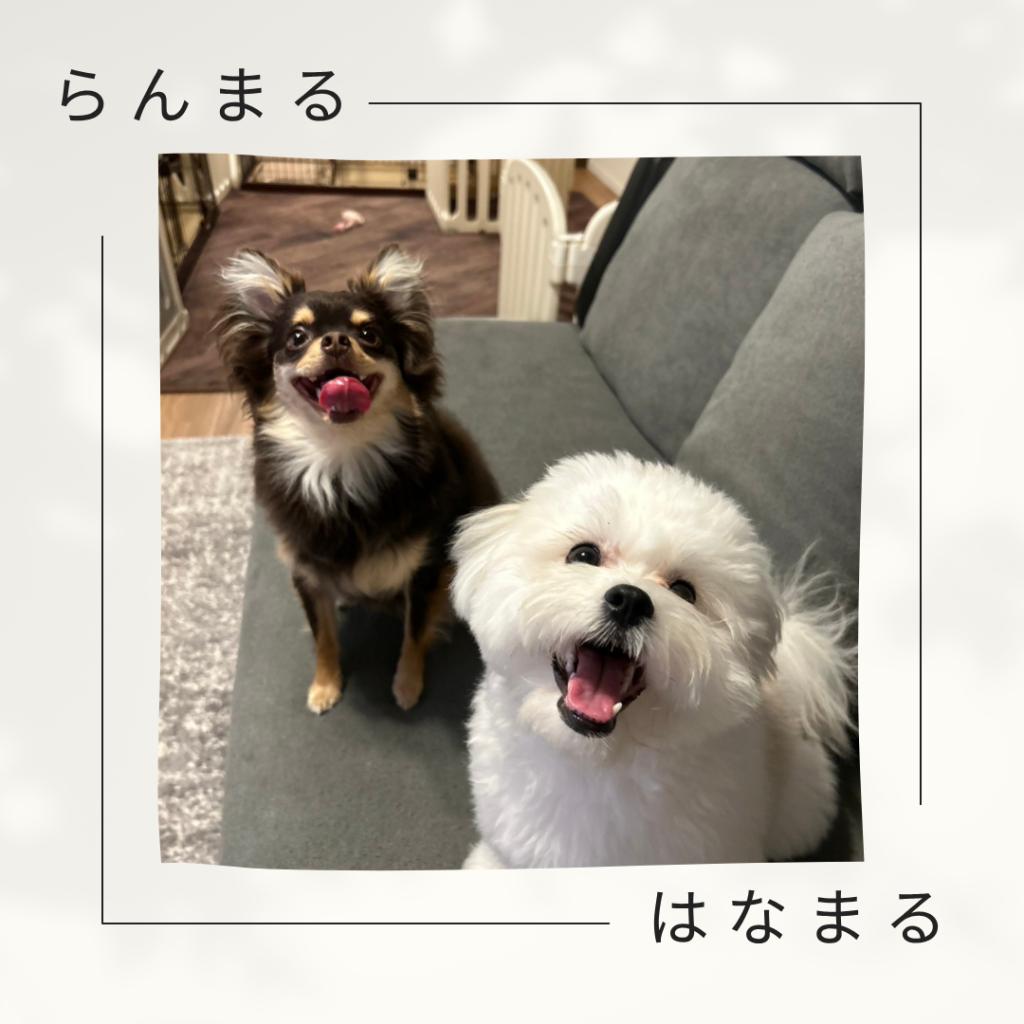 クールビズ営業となります！おまけあり！