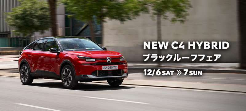 ブラックルーフフェア