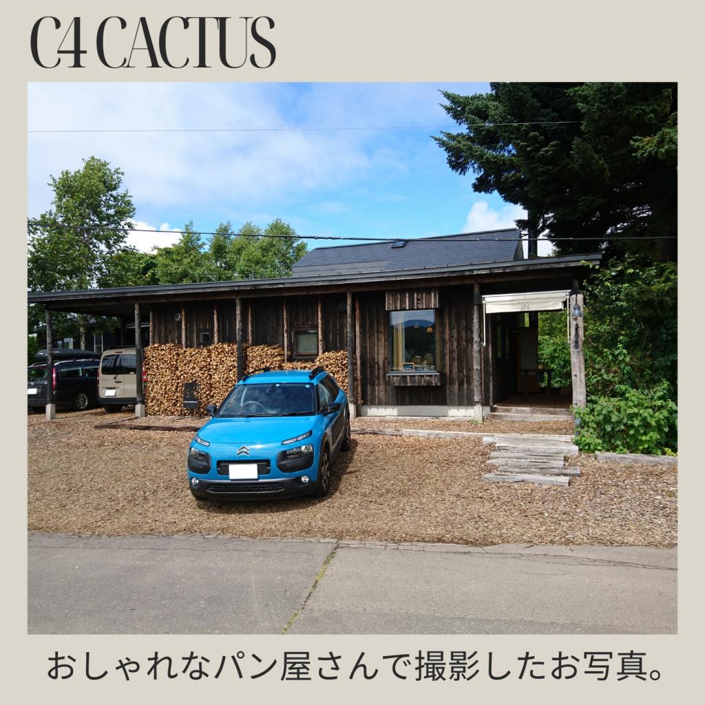 Citroen Owner's Photo Album Vo.3！おまけ付き！